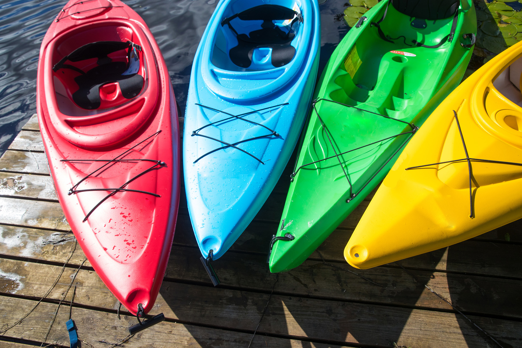 Kayak Rentals